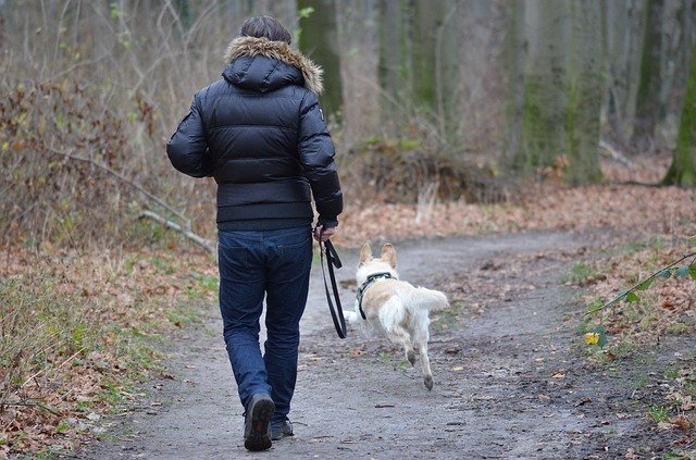 man leisurely walking a dog on a path in the woods