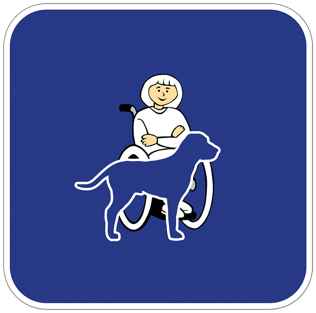 cartoon of a person in a wheelchair and their service dog