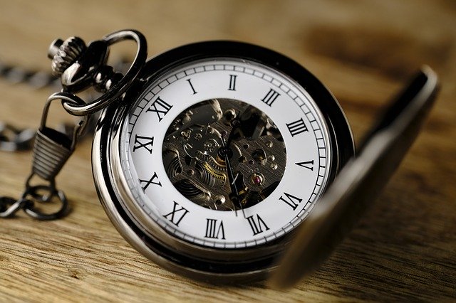clock, pocket watch, to schedule house training