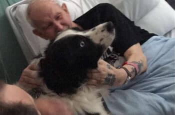 Dying man in hospital bed saying goodbye to his beloved dog