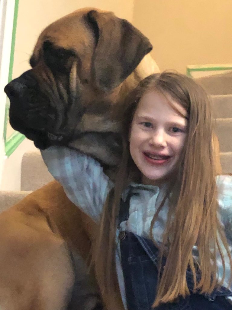 A mastiff and a small girl sitting on inside steps.