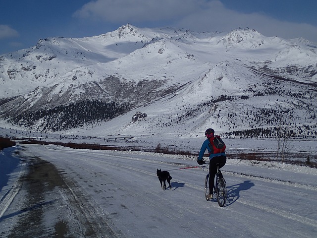 biker, snow, winter