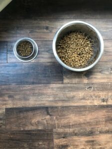Food Bowls for Dogs