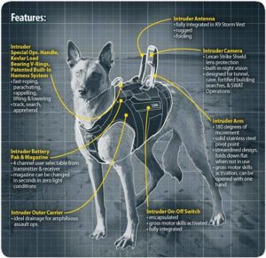 K-9 Seal in full Armor is a working dog of the highest order