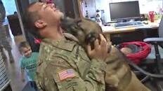 Soldier and K-9 buddy reunited
