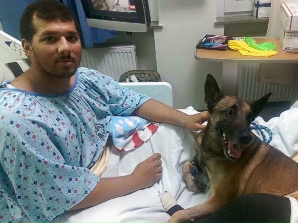 wounded human and K-9 soldiers in a hospital bed