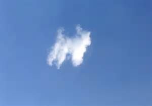 terrier pup in cloud formation