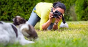 excellent dog photography requires you to get on the same level with the dog