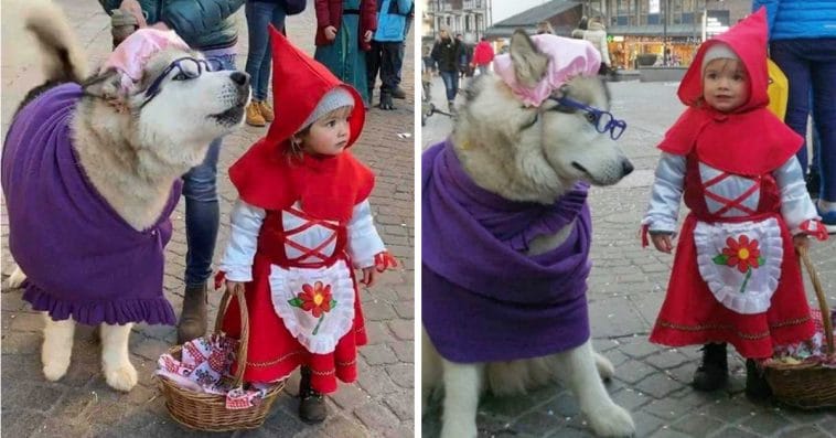 Little Red Riding Hood and the Big Bad WOlf in Disguise