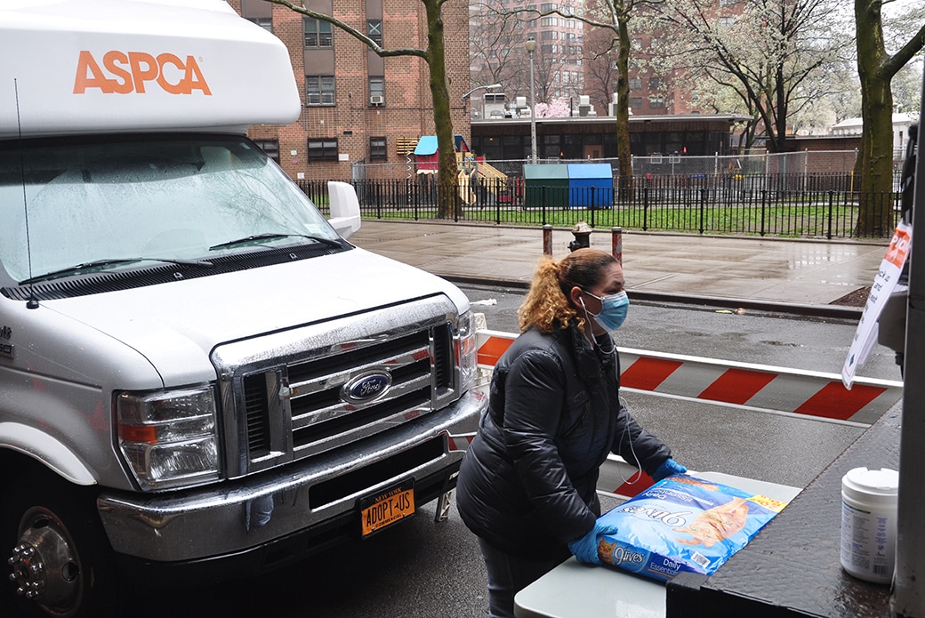 distributing needed dog food in NYC