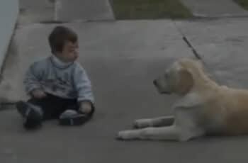 boy with Downs' Syndrome and a Labrador