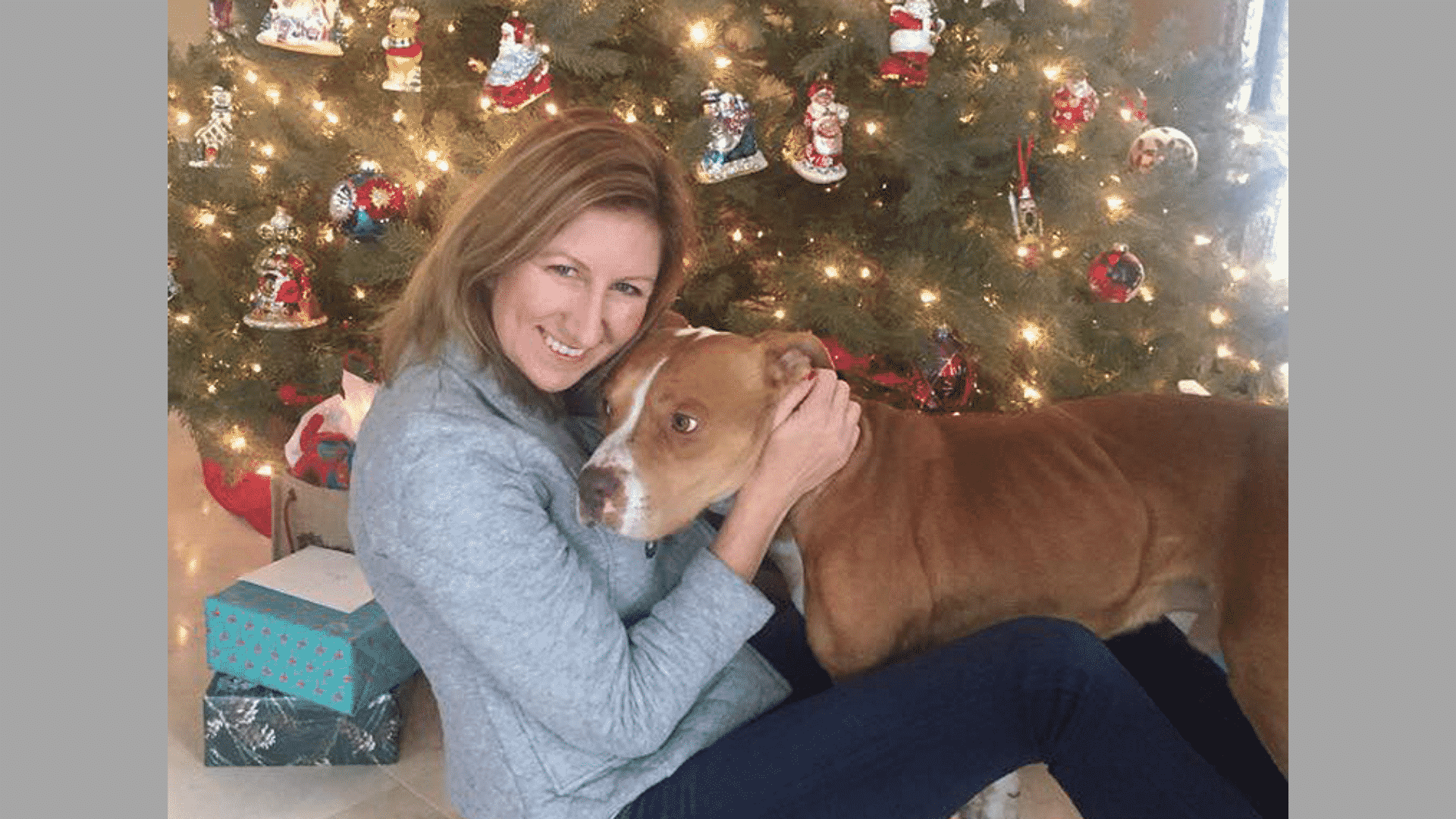 Rescued dog spending Christmas with his Foster Mom in front of the tree