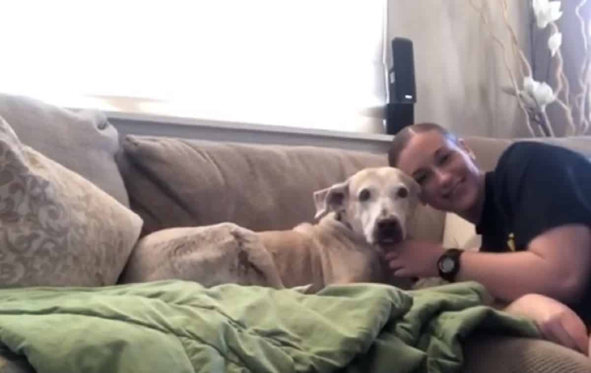 oldest shelter dog is on couch with new family in her new homw