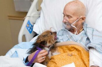 man and dog in hospice bed saying goodbye
