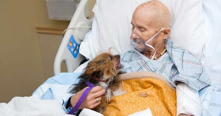 man and dog in hospice bed saying goodbye