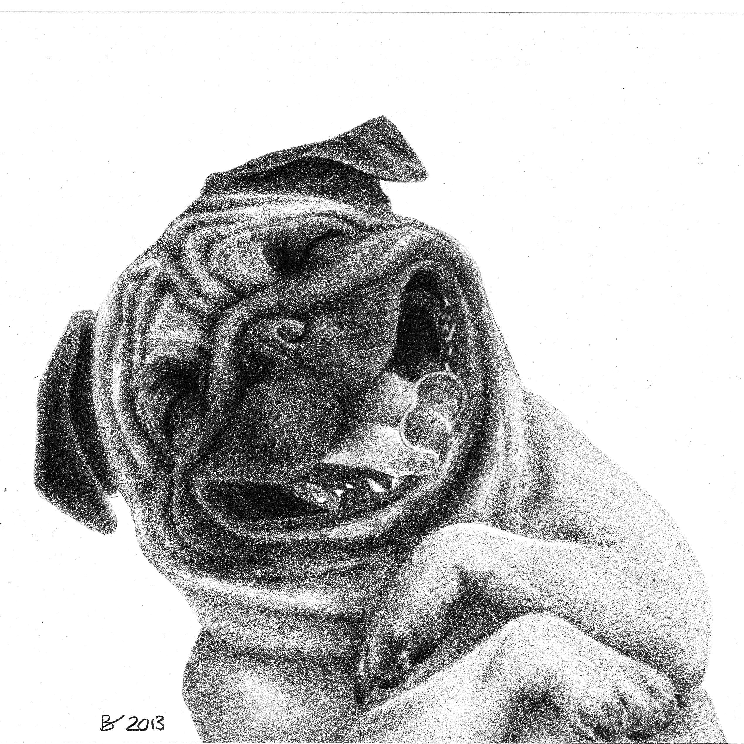 Drawing of a laughing dog
