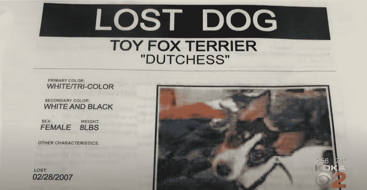 After missing for 12 years this dog poster finally paid off