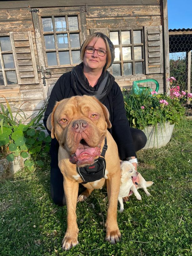 massive dog and tiny dog with a woman outside of an old looking house
