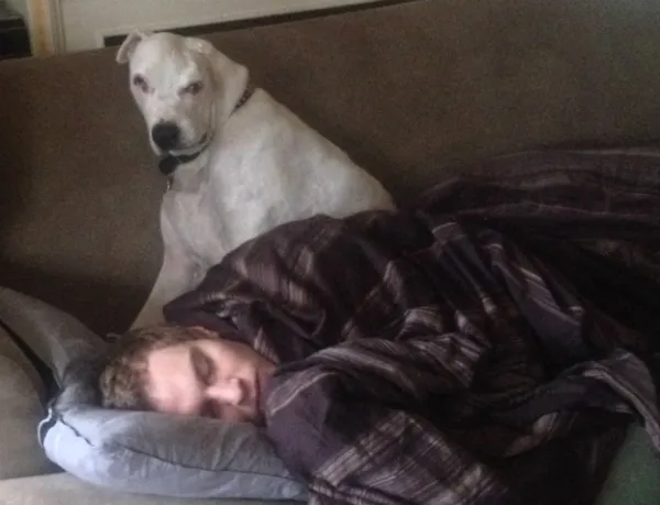 white dog overlooking a sleeping man