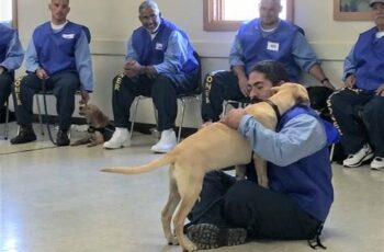 dog hugging a prisoner