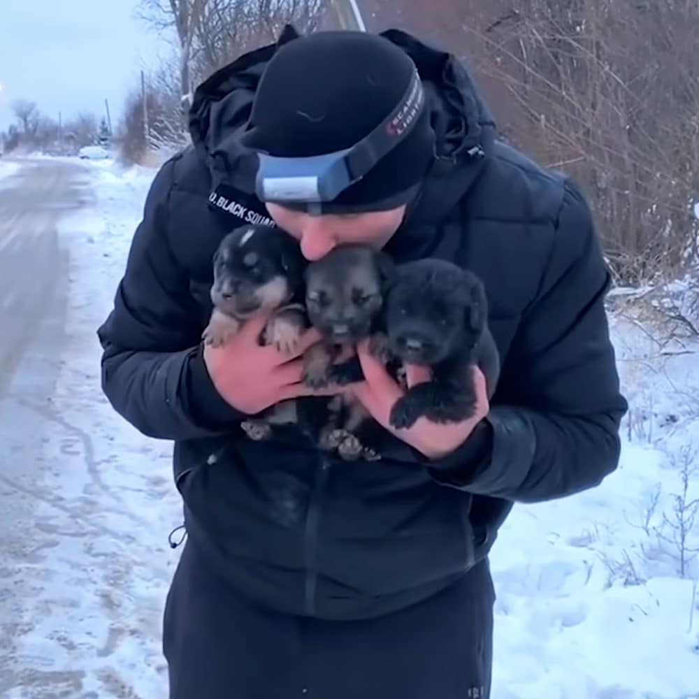 MAn holding three tiny pups