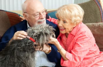 ELDERLY MAN AND WOMAN LOVING ON A SMALL DOG
