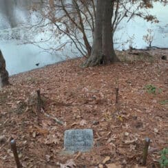 grave marker in the woods