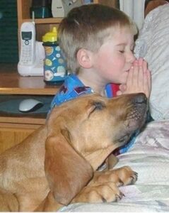 little boy nd his dog saying night time prayers