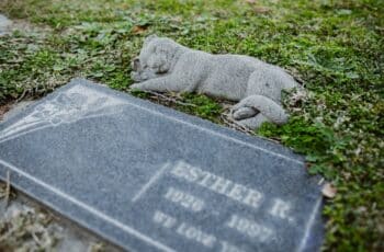 dog monument at pet cemetery