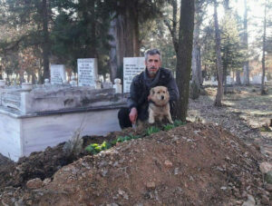 Dog and son of his owner sitting on the gravesite