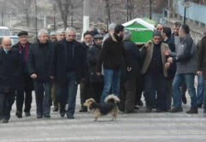 The bond between this dog and his owner was observed by these men watching the dog going to visit his owner's gravesite