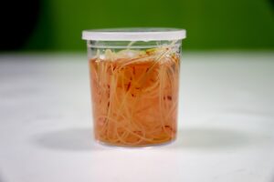 lab container of heartworms