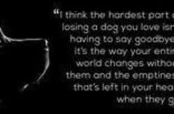 meme for getting over the loss of a beloved dog