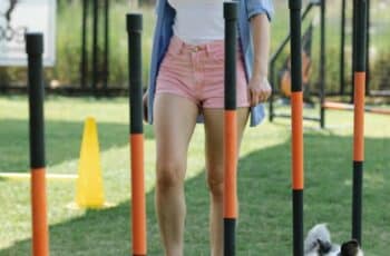 utility dog going around poles