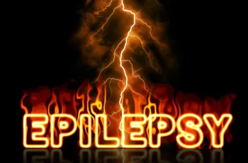 says epilepsy to indicate that this article is about canine epilepsy