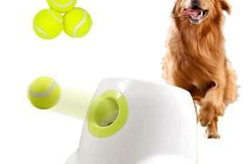 dog with a high-tech gadget that launches balls