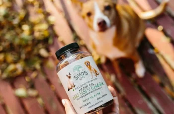 dog waiting for his suppements