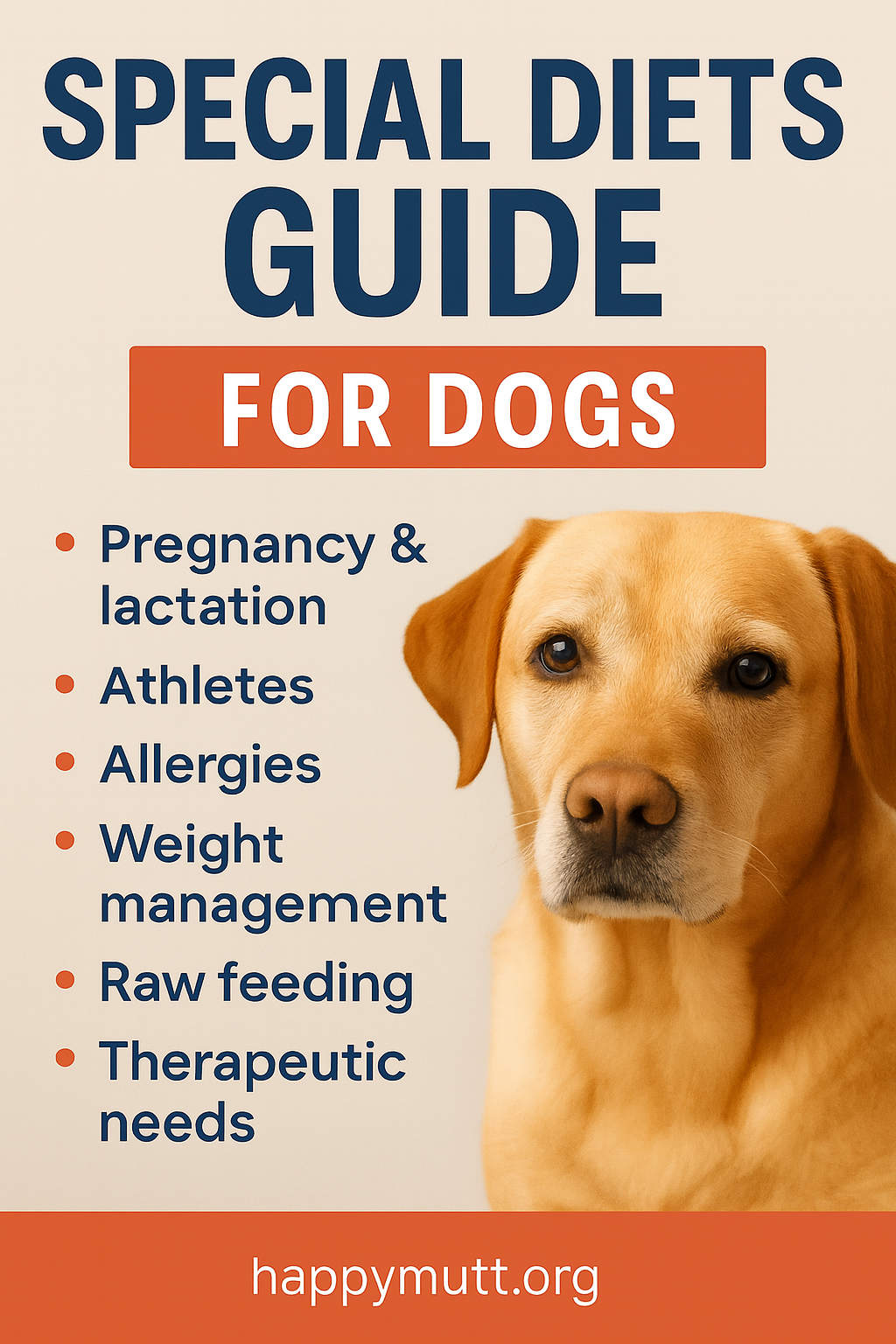 special diets guide for dogs poster with a pic of a fog