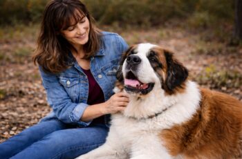 Do dogs like head pats? Woman gently petting a Saint Bernard on the chest instead of the head to show respectful affection
