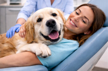 dogs in the dental office helping calm an anxious dental patient during an appointment
