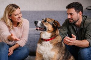 dog choosing favorite person during divorce custody situation
