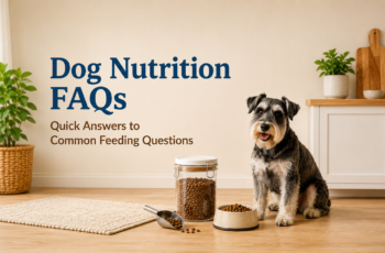 Schnauzer beside dog food storage container, scoop, and bowl with text reading Dog Nutrition FAQs
